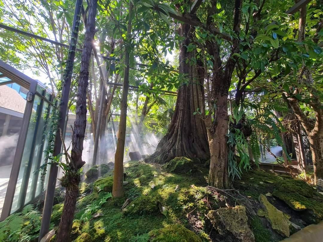 Tree Scape Retreat Resort Chiang Mai Exterior foto