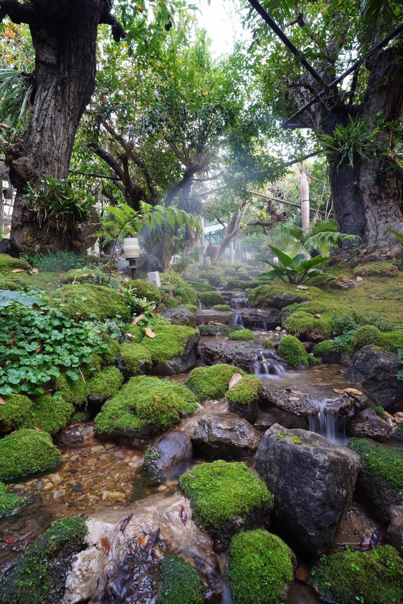 Tree Scape Retreat Resort Chiang Mai Exterior foto